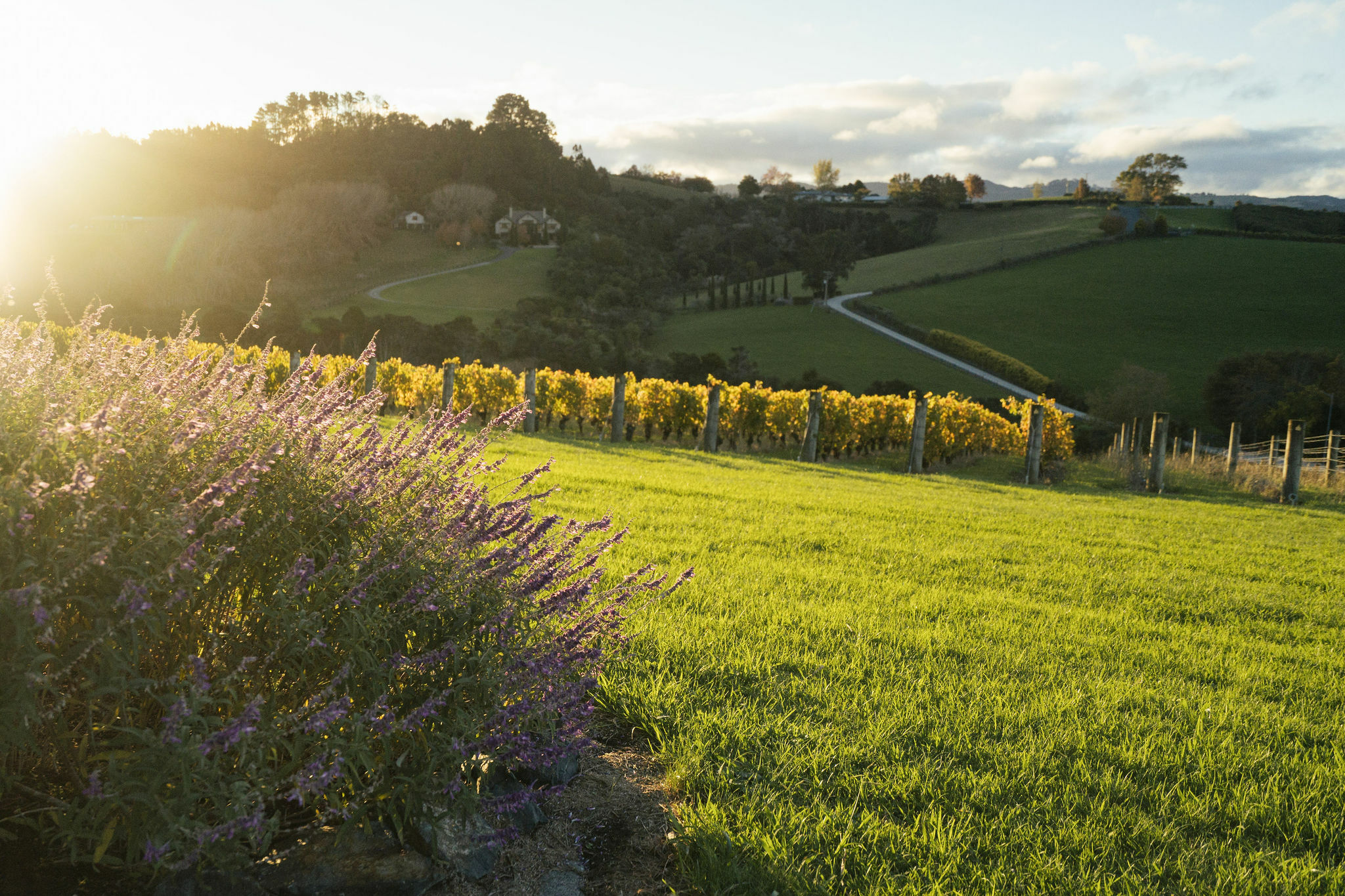 Libby Robinson Gillman highres 114